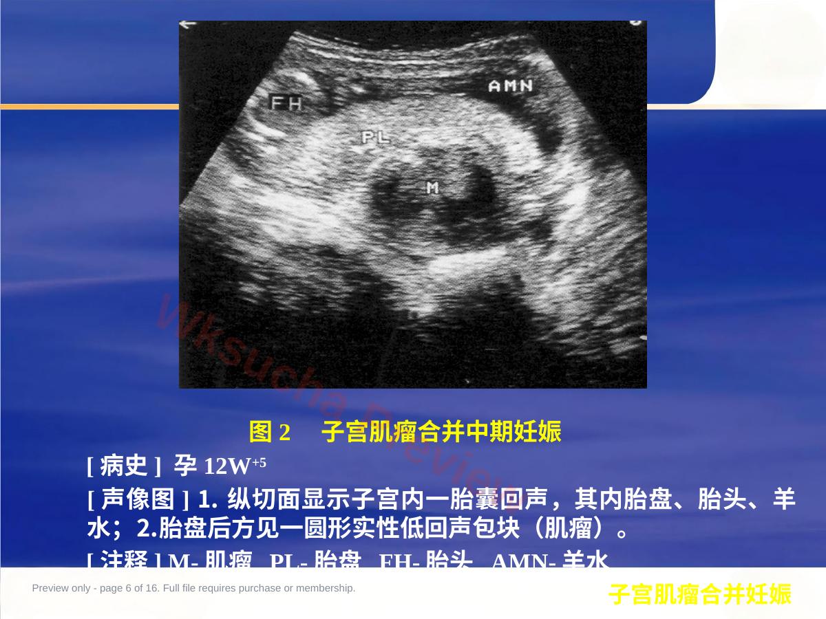 预览第 6 页