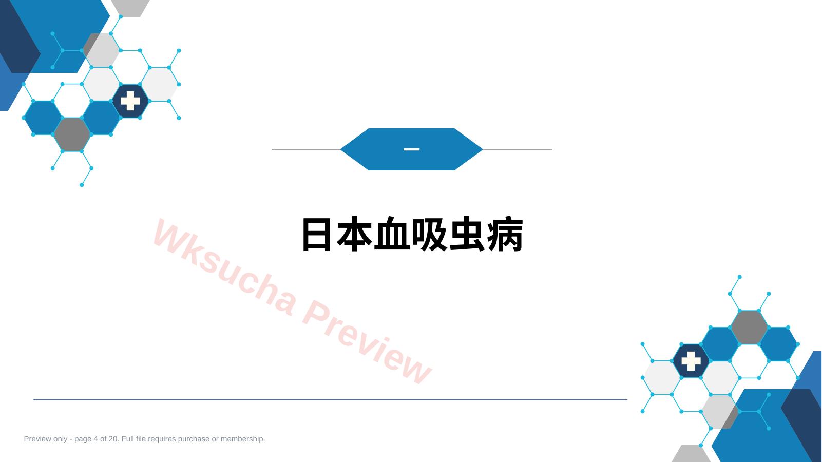 预览第 4 页
