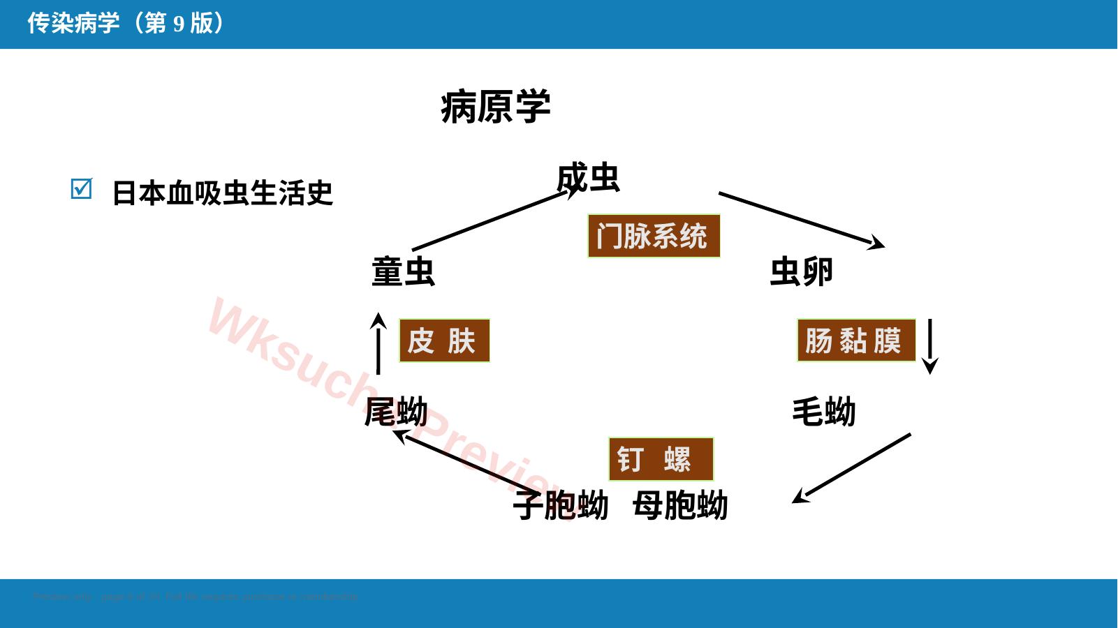预览第 6 页
