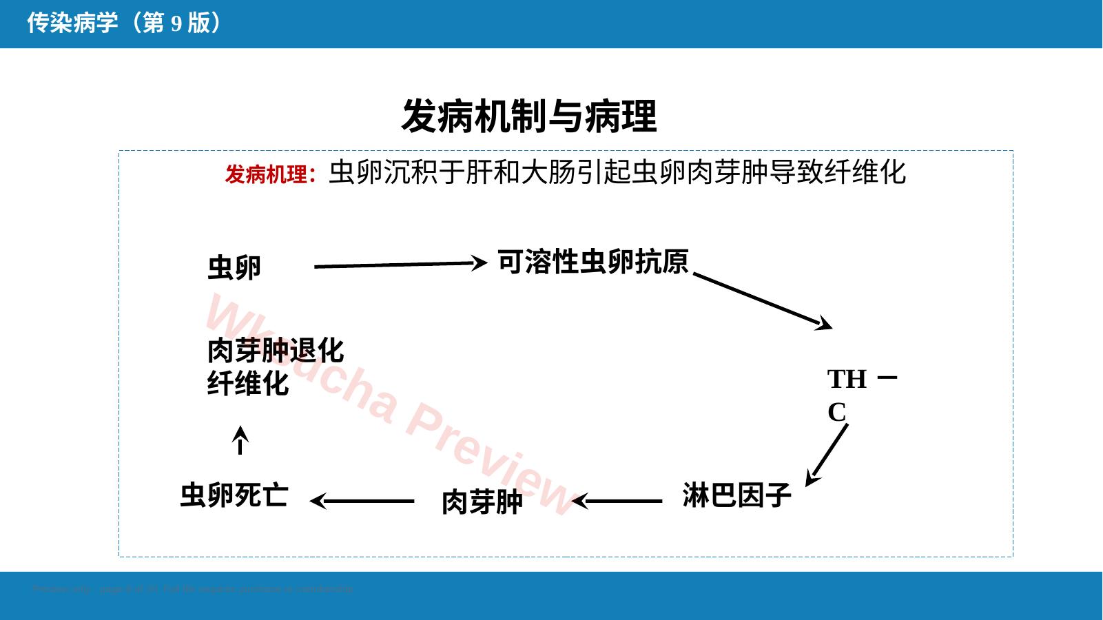 预览第 8 页