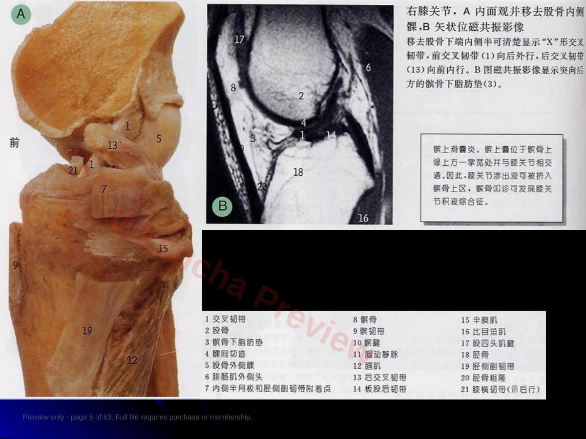 预览第 5 页