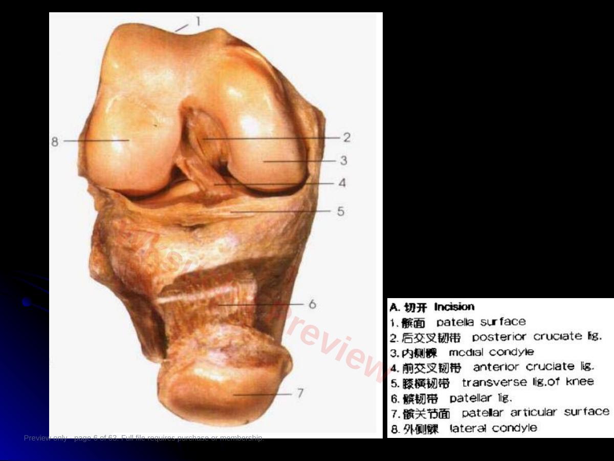 预览第 6 页