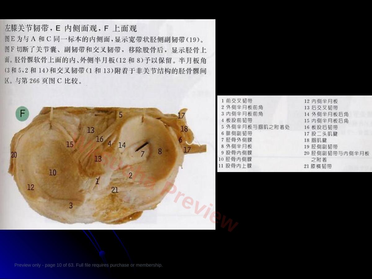 预览第 10 页