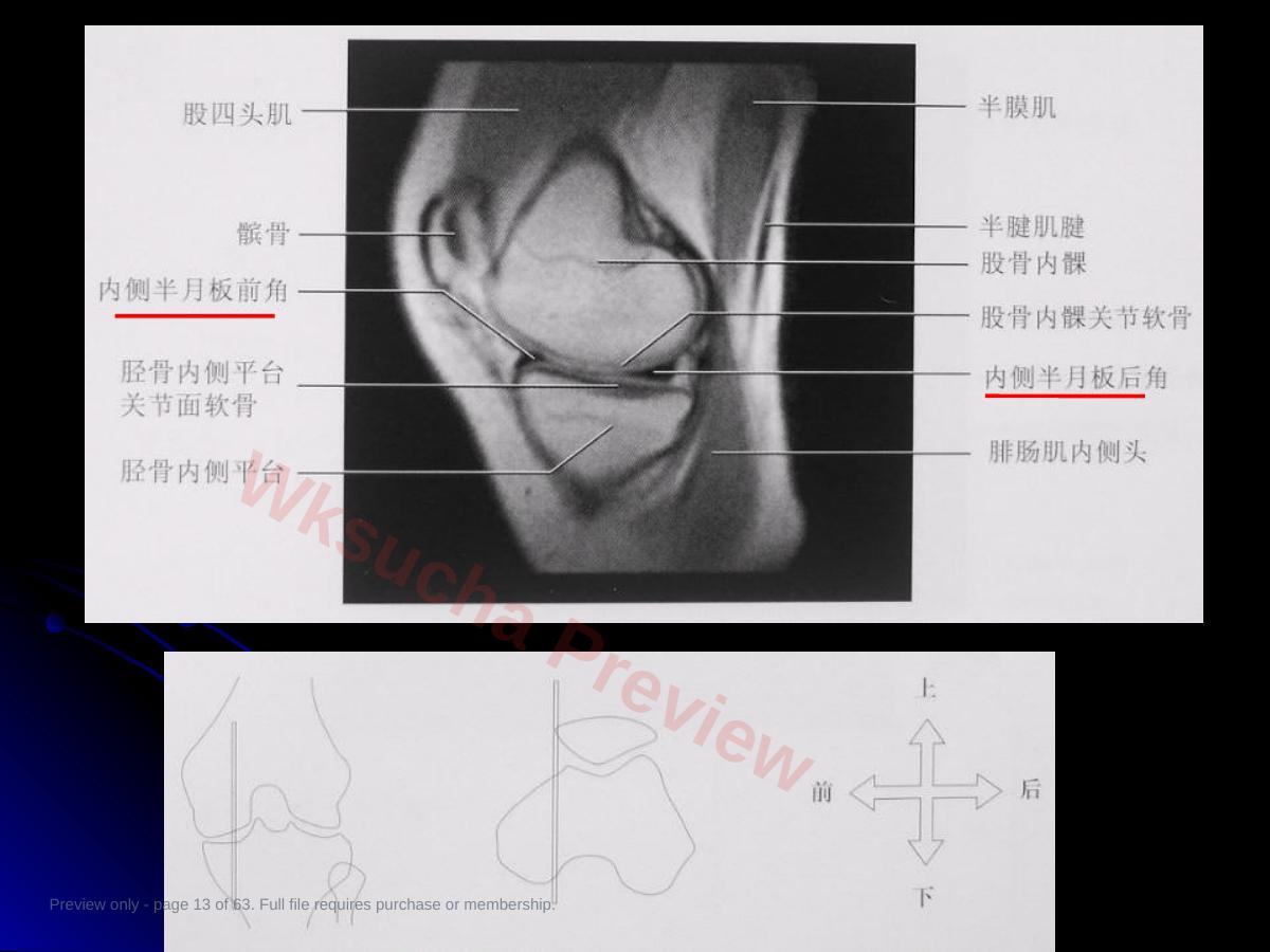 预览第 13 页