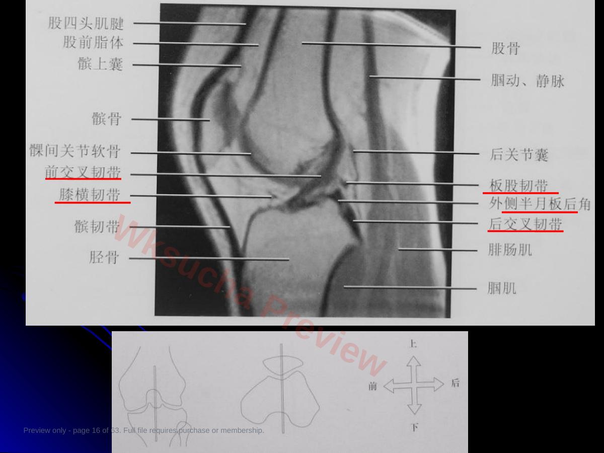 预览第 16 页