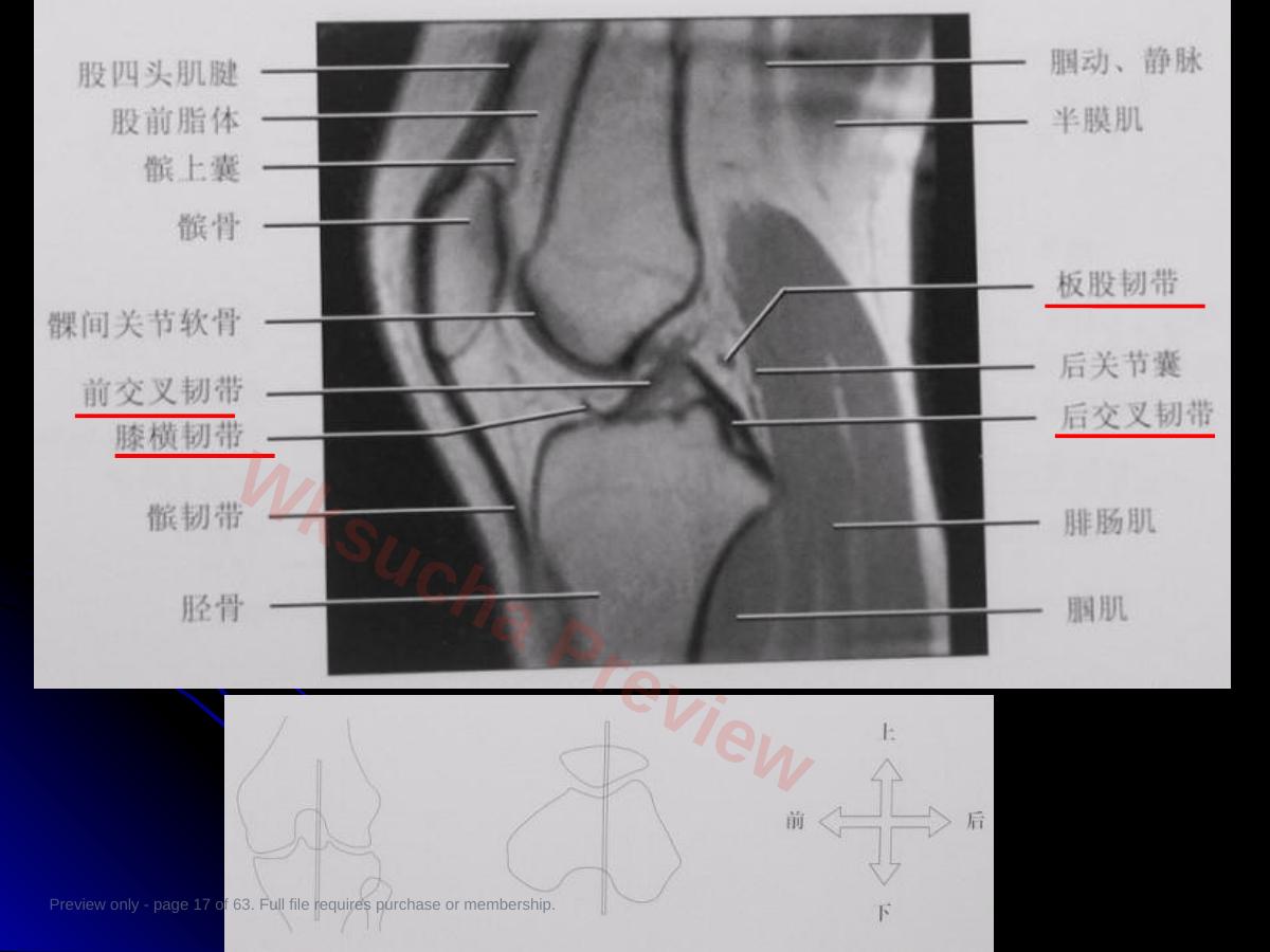 预览第 17 页