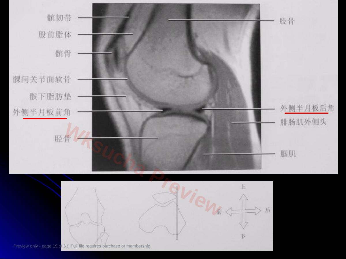预览第 19 页