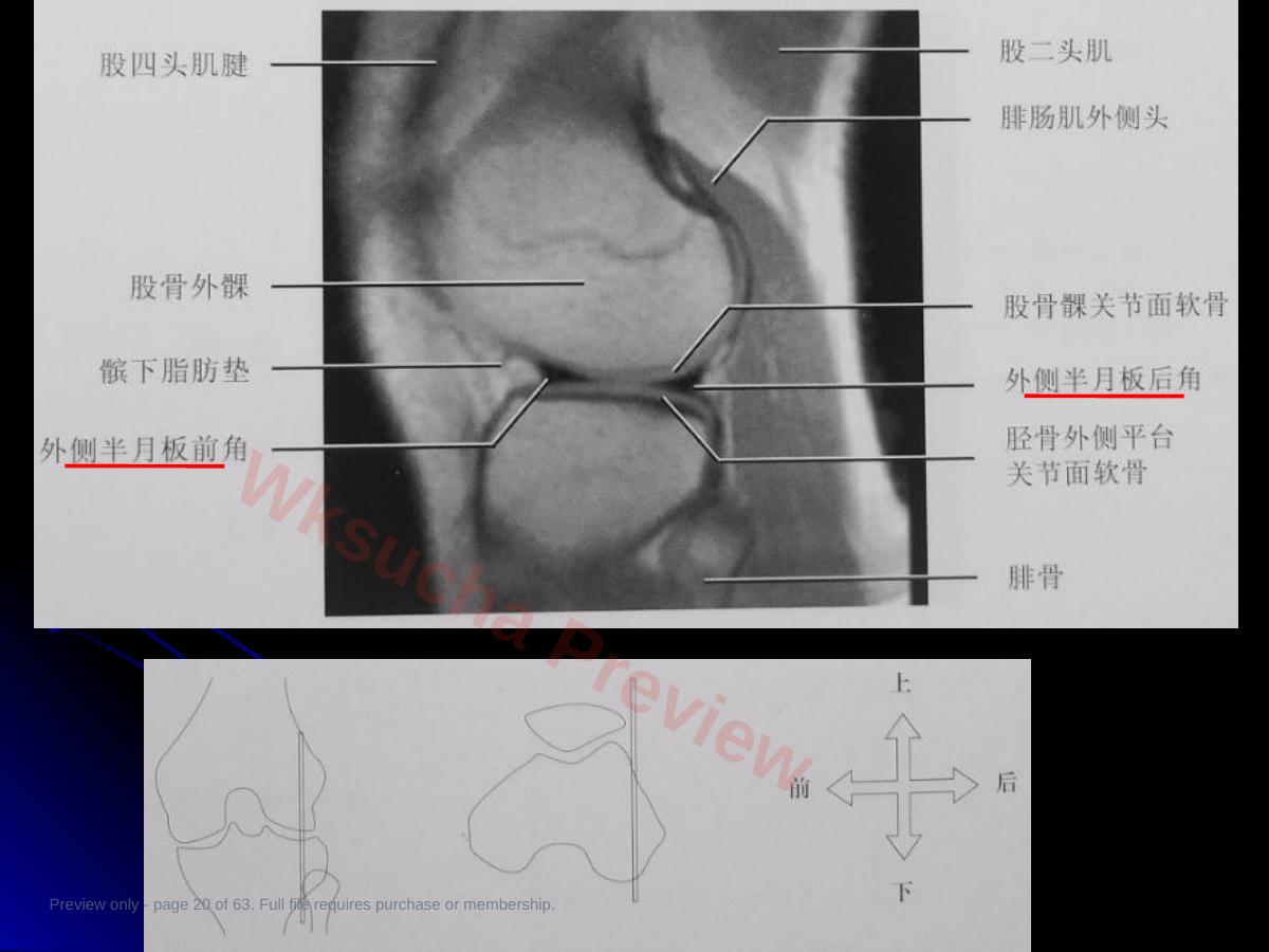 预览第 20 页