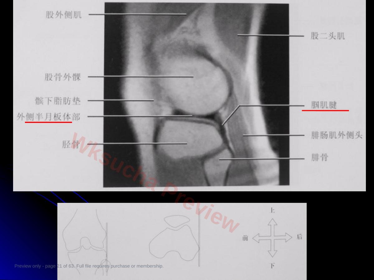 预览第 21 页