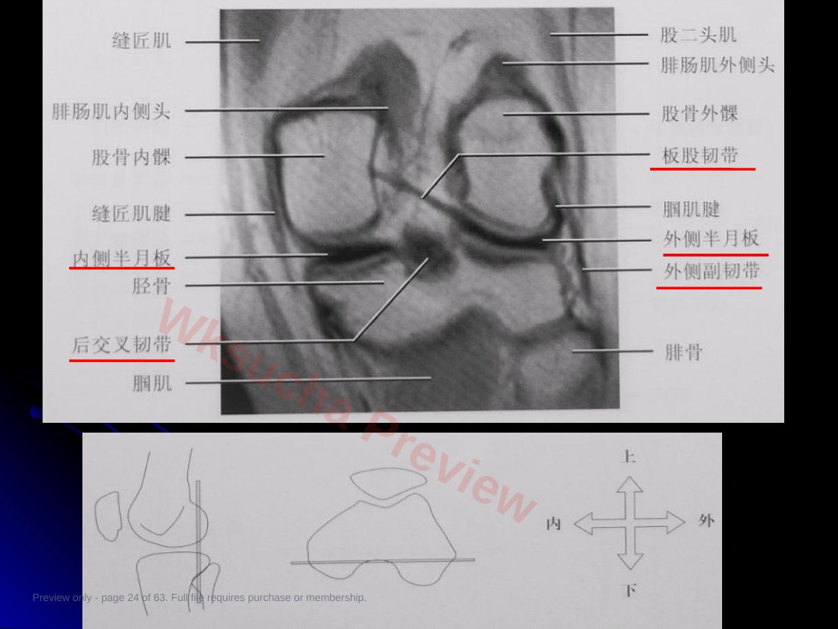 预览第 24 页