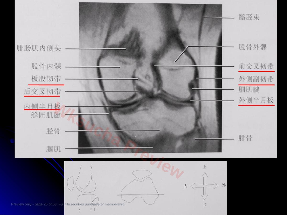 预览第 25 页