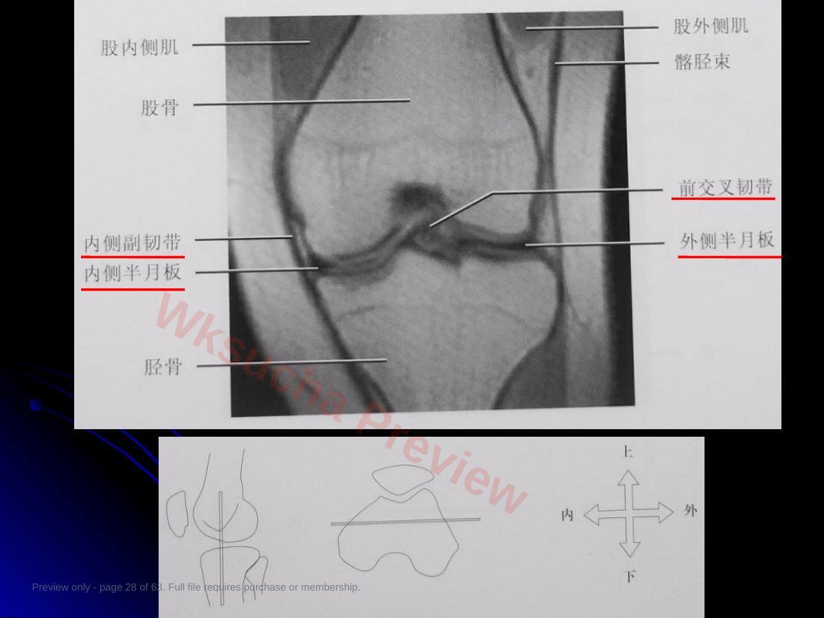 预览第 28 页