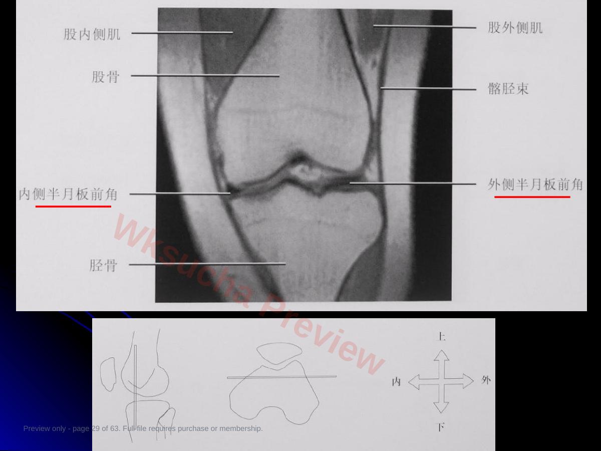 预览第 29 页