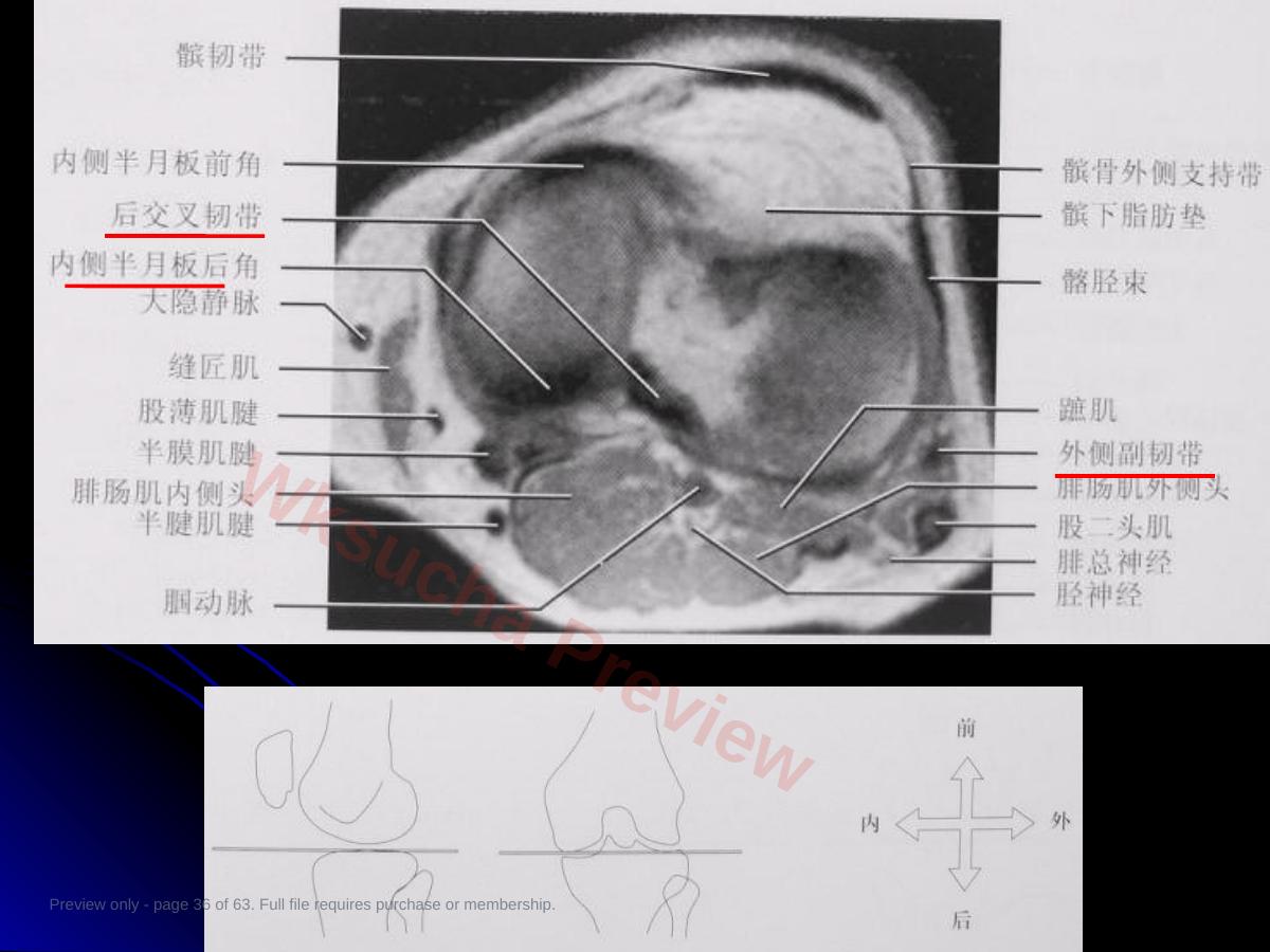 预览第 36 页