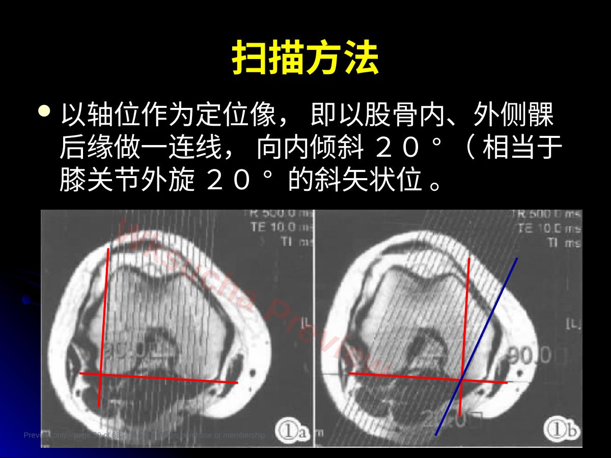 预览第 39 页