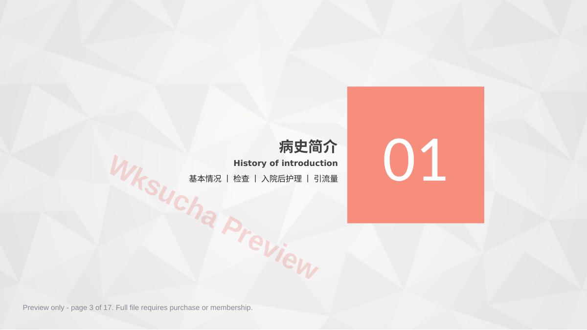 预览第 3 页