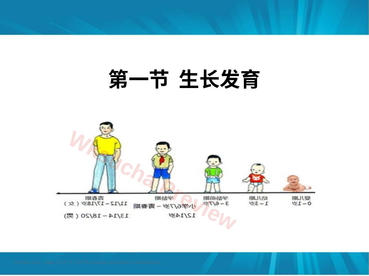 预览第 19 页