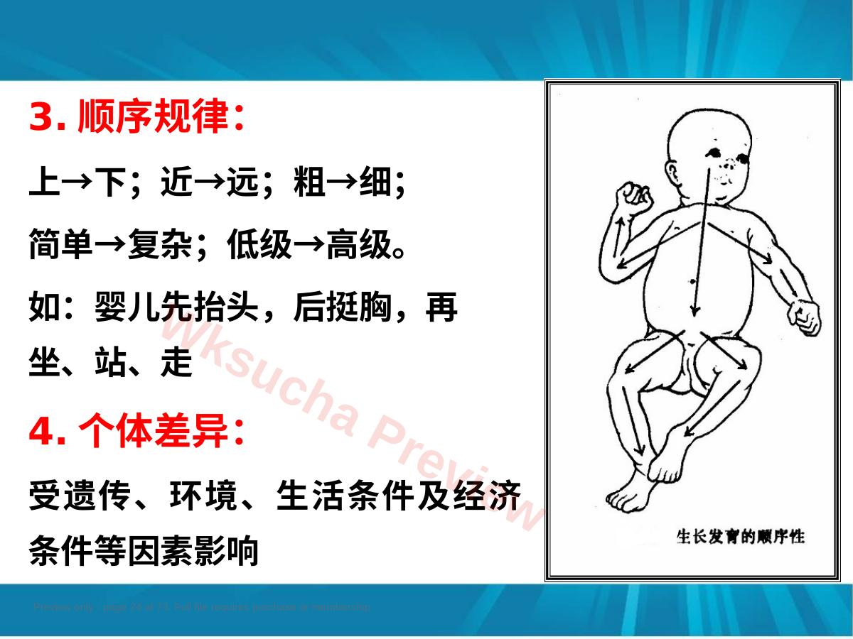 预览第 24 页
