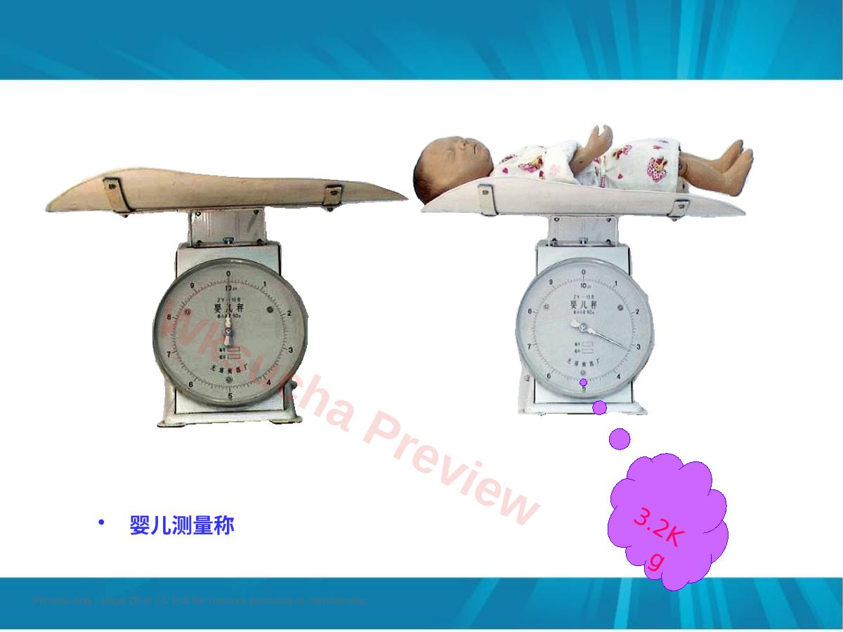 预览第 29 页