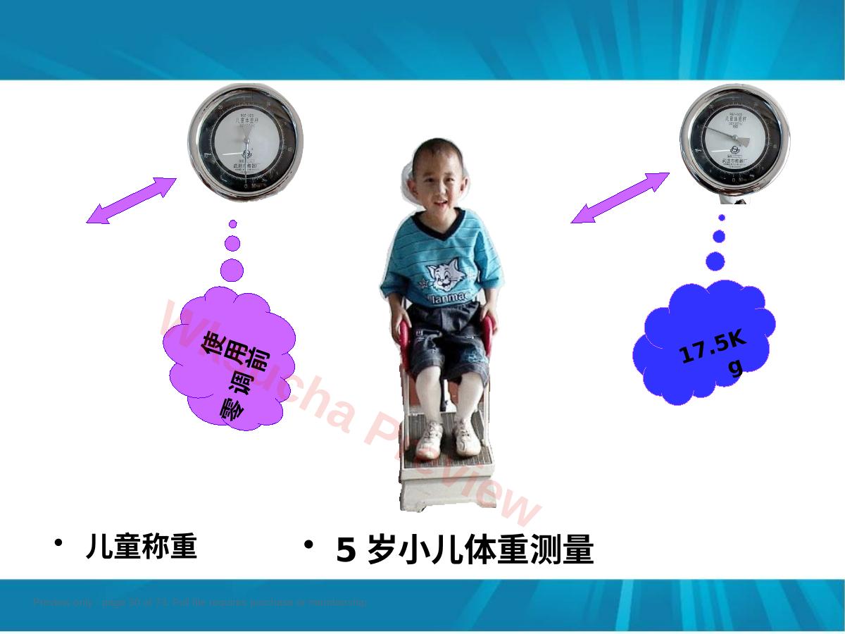 预览第 30 页