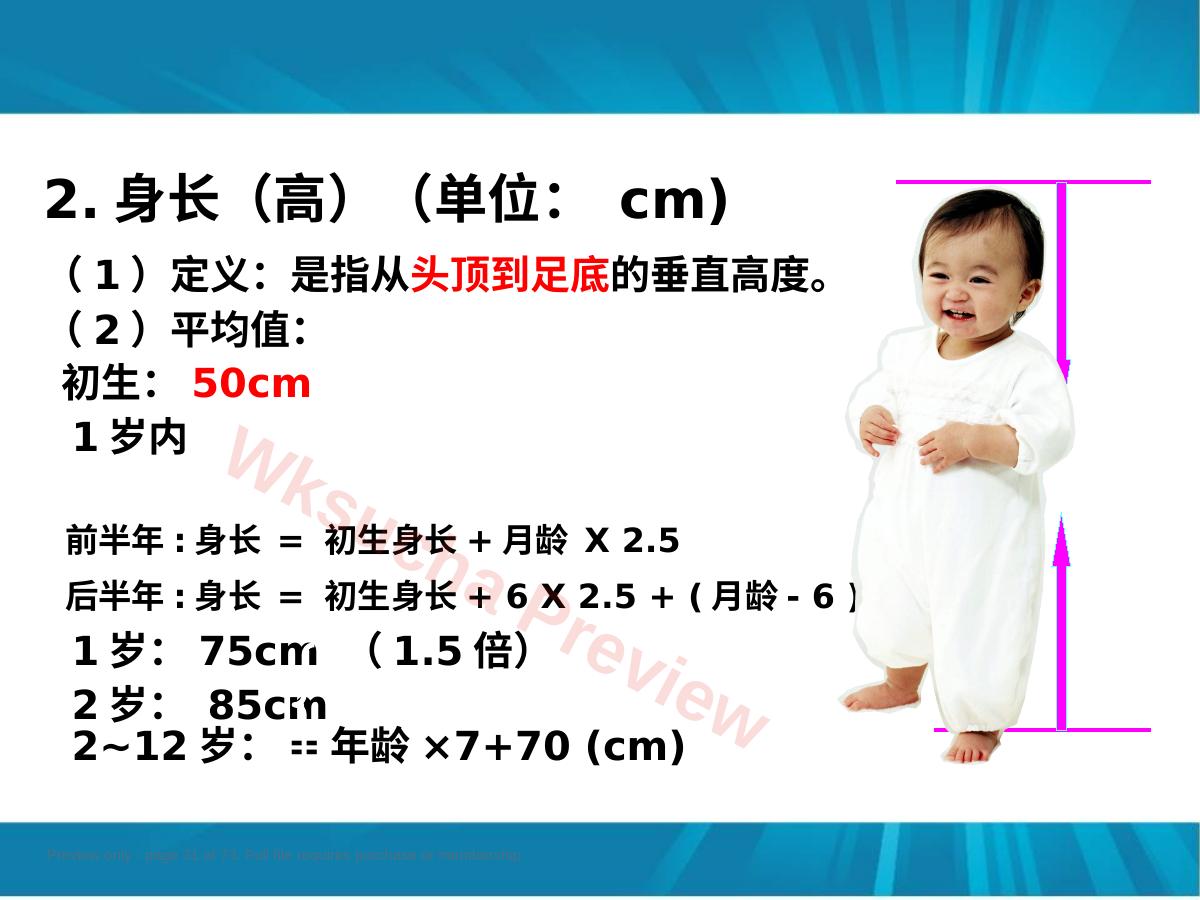 预览第 31 页