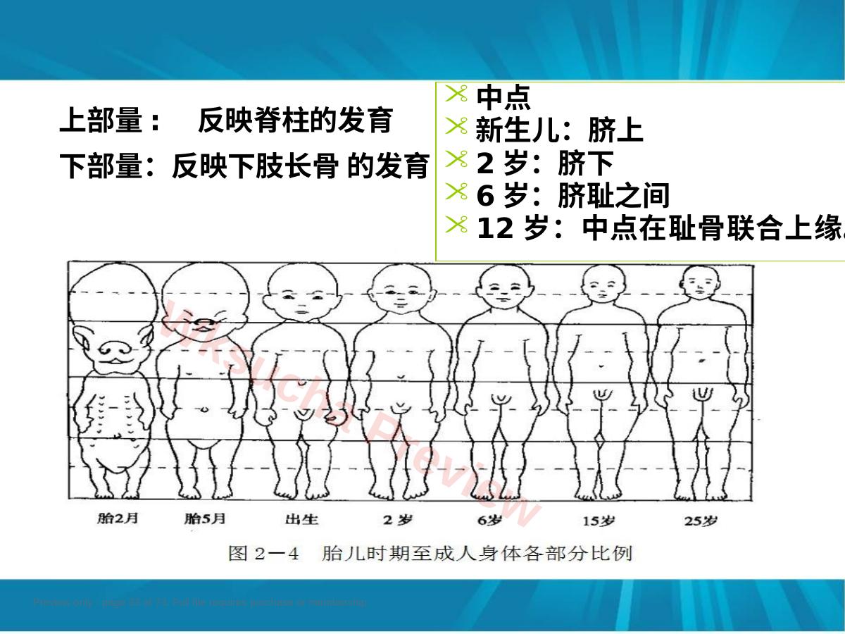 预览第 33 页
