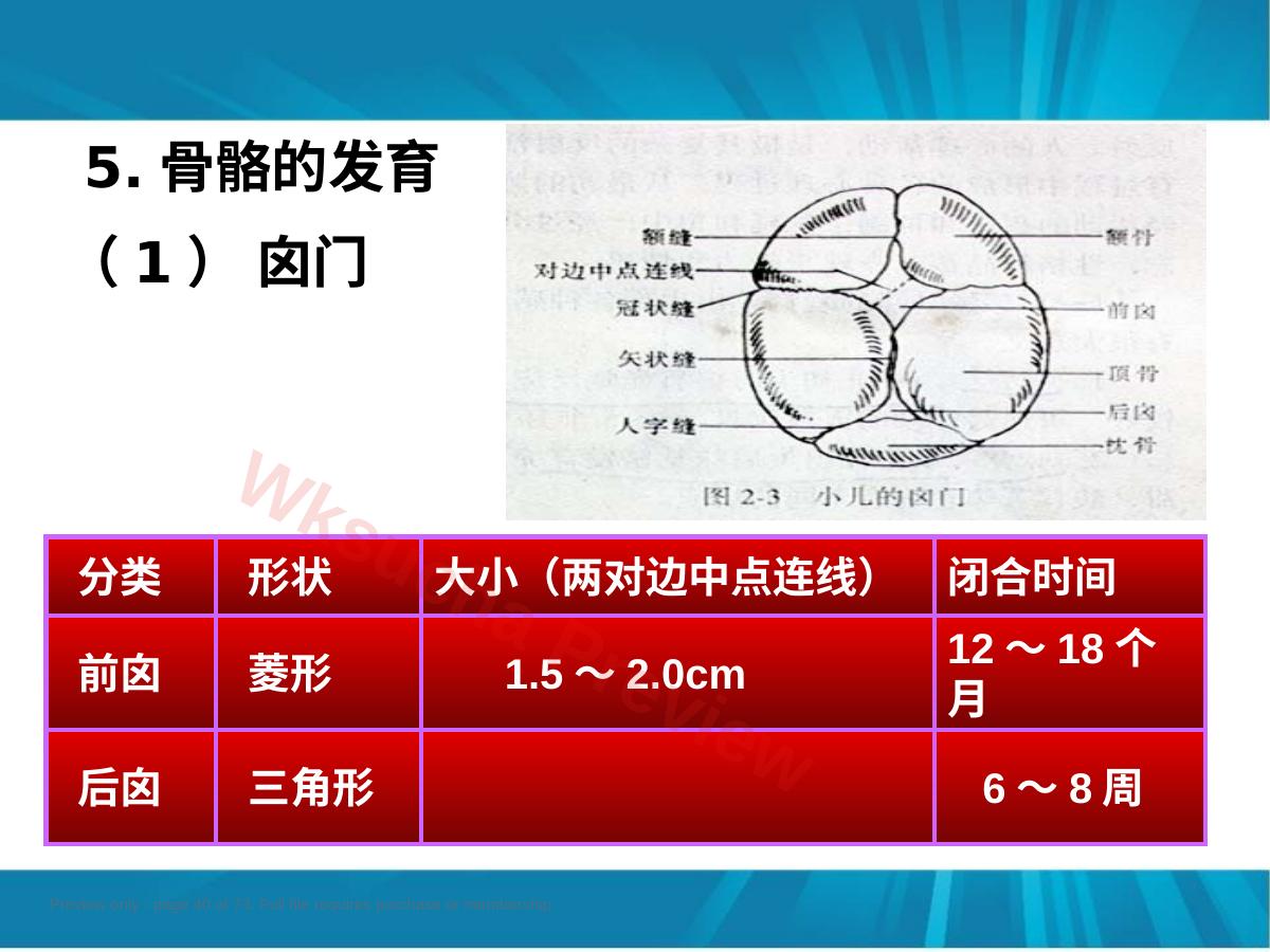 预览第 40 页
