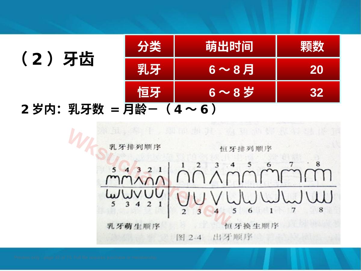 预览第 42 页
