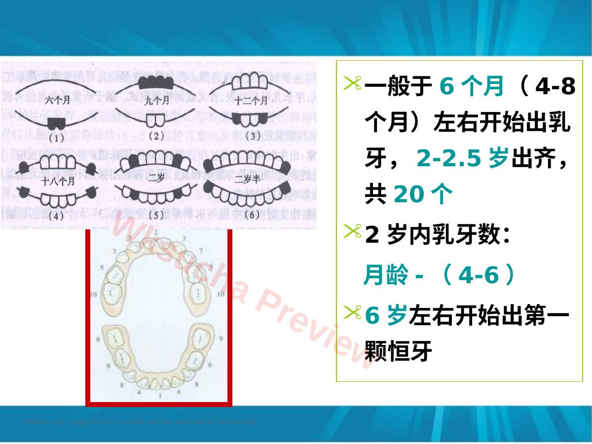 预览第 43 页