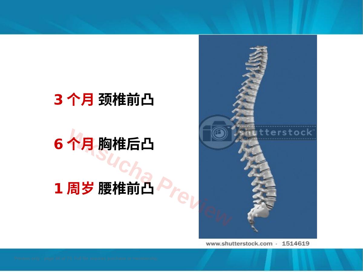 预览第 46 页