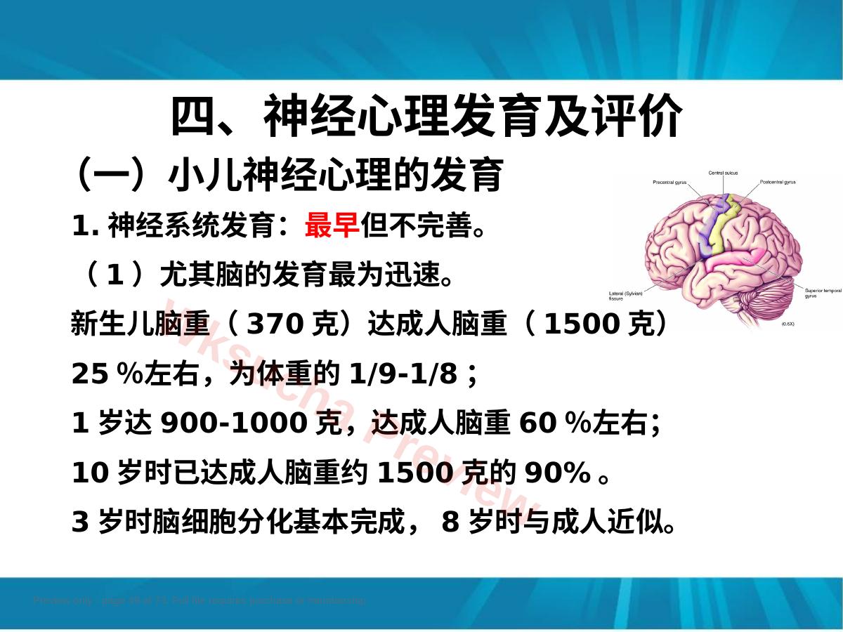 预览第 49 页