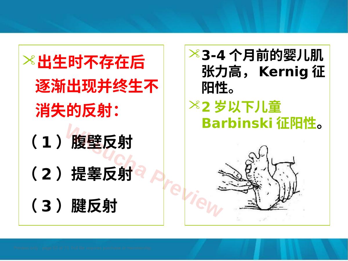 预览第 53 页