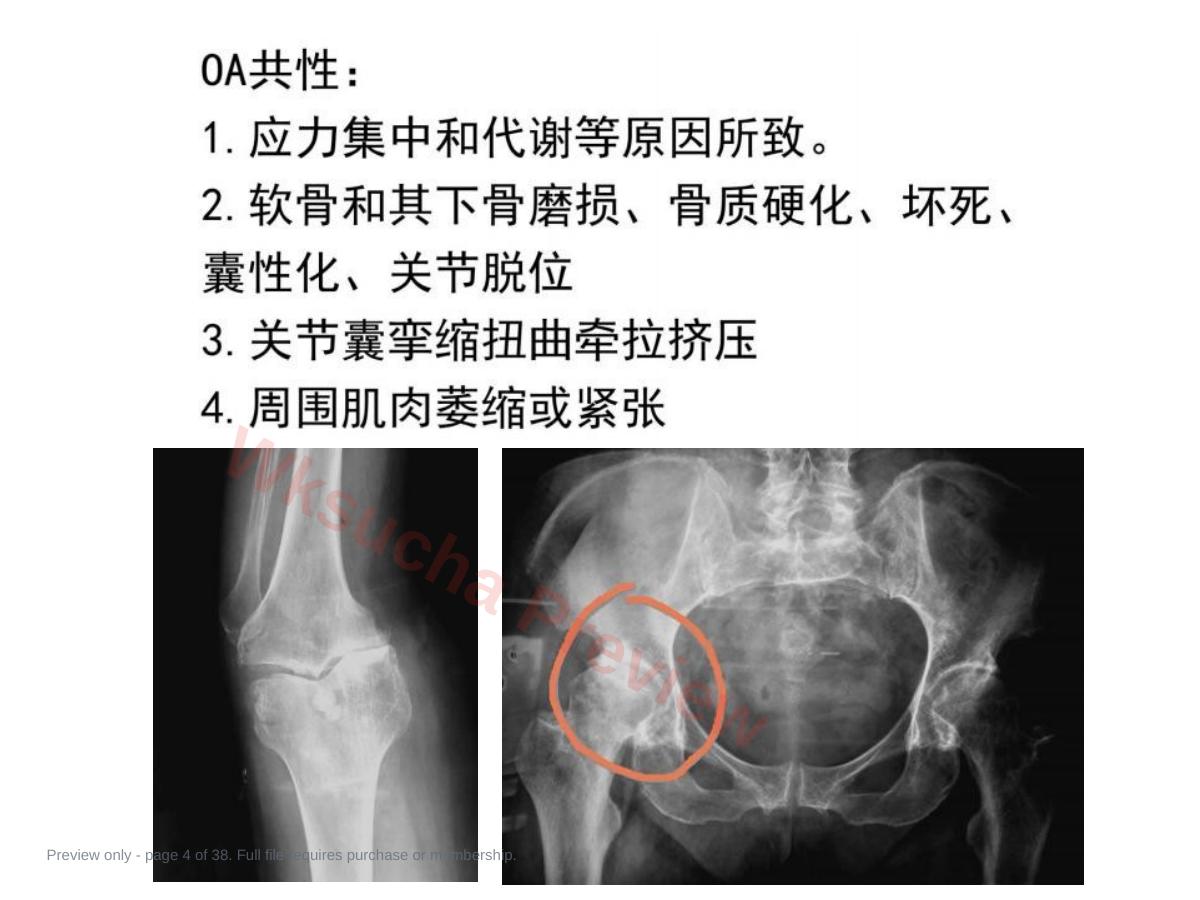 预览第 4 页