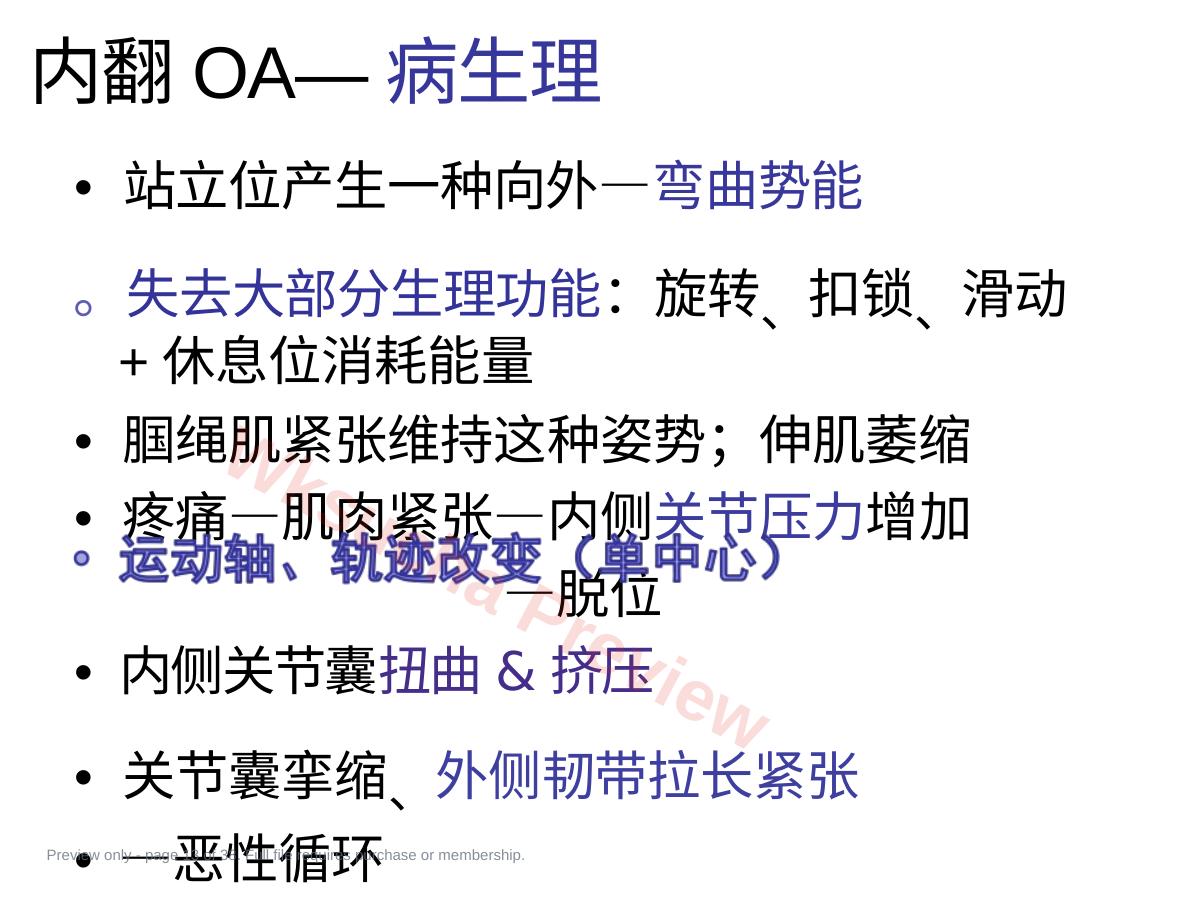 预览第 13 页