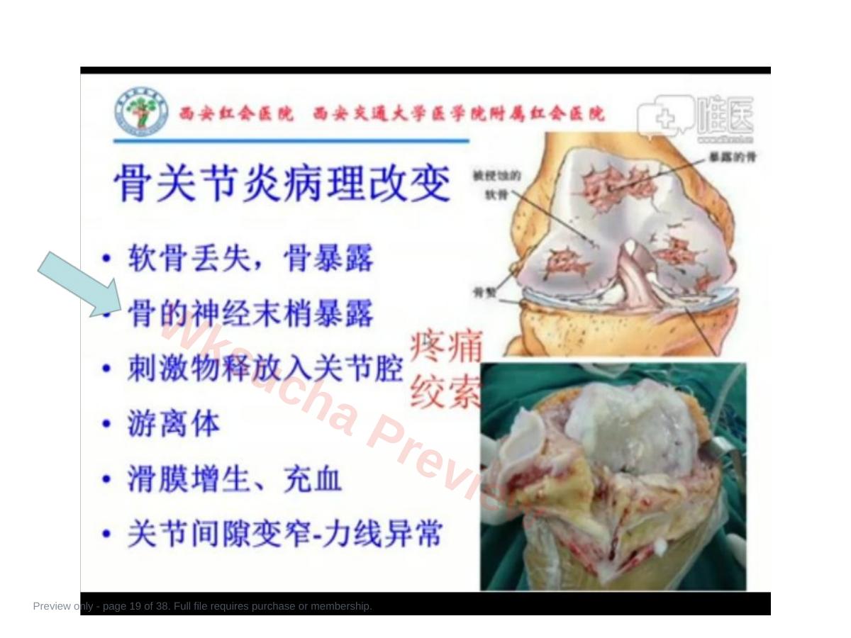 预览第 19 页
