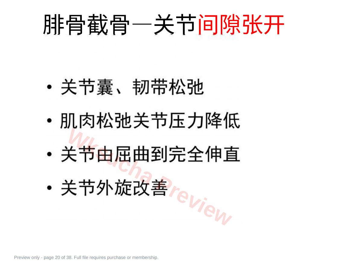 预览第 20 页