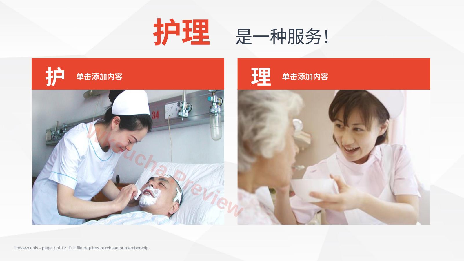 预览第 3 页