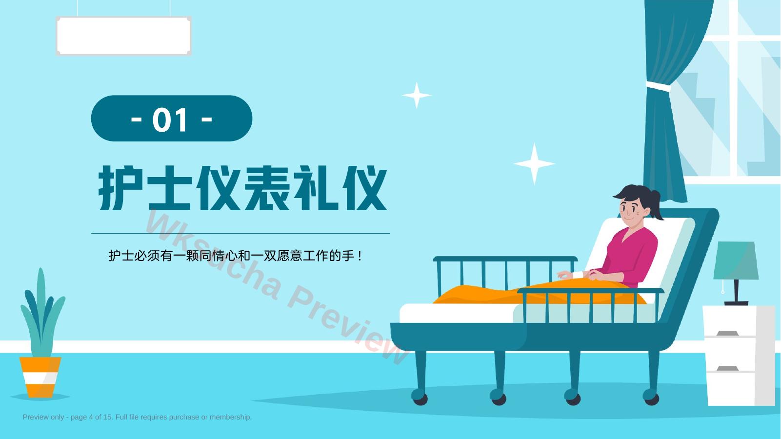 预览第 4 页
