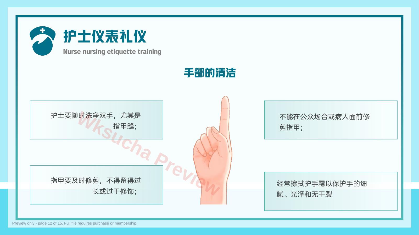 预览第 12 页