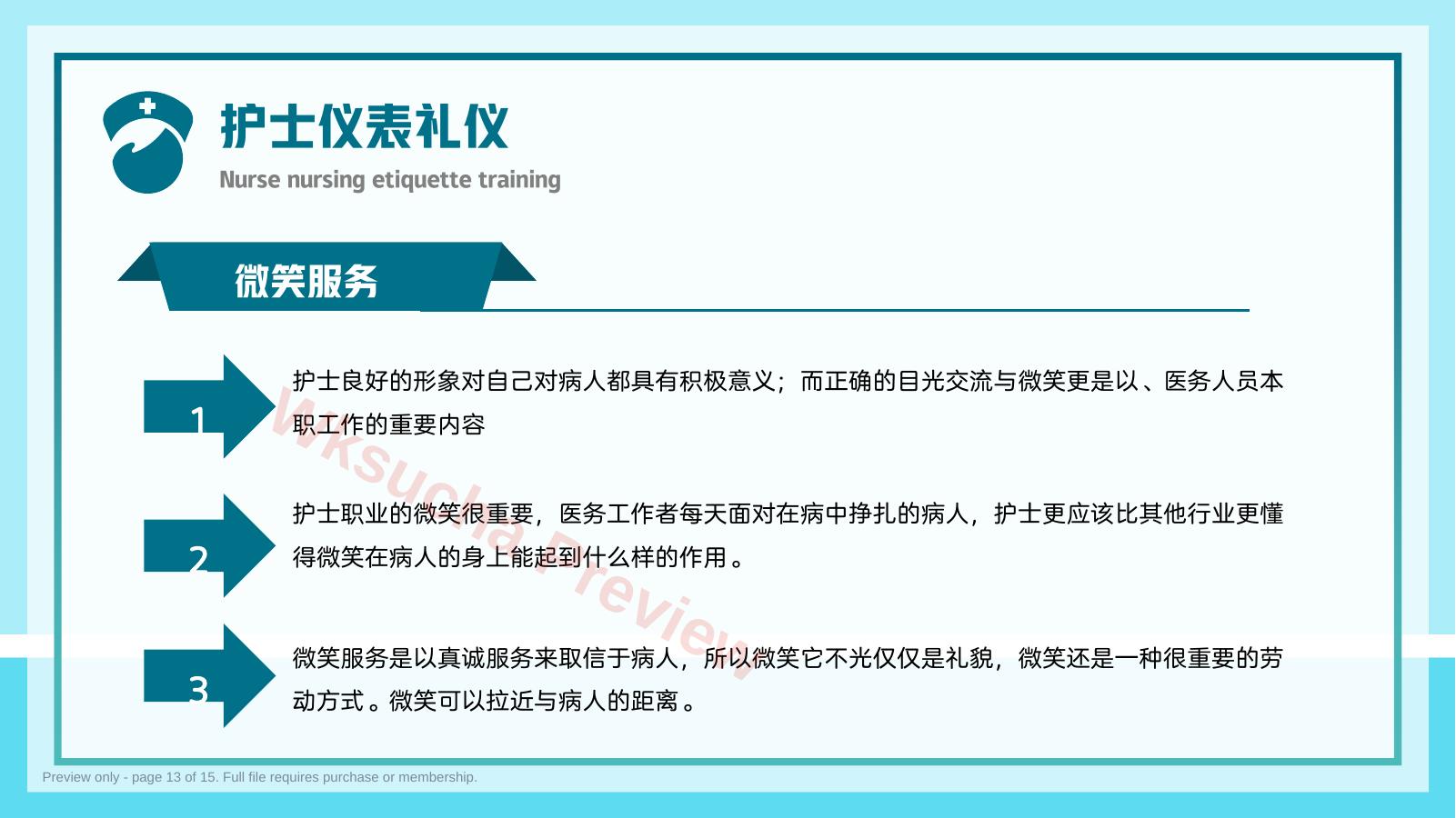 预览第 13 页