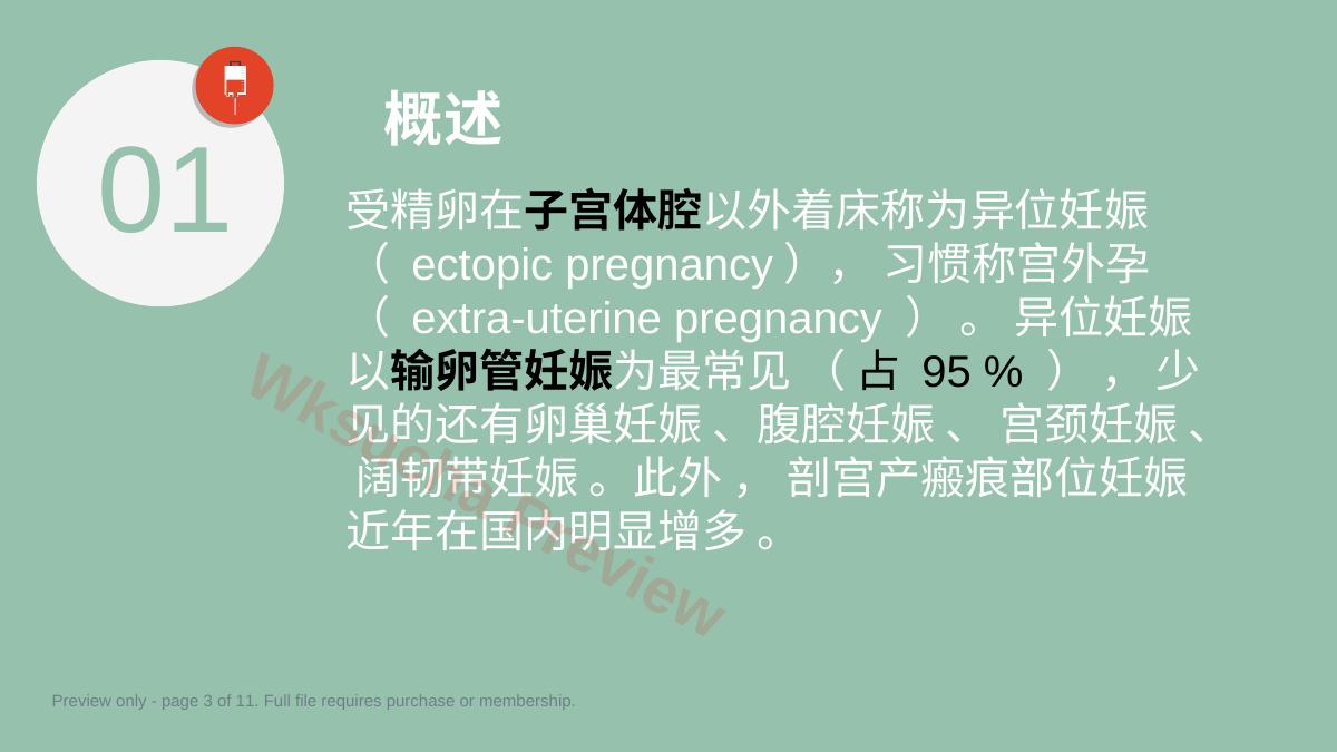 预览第 3 页