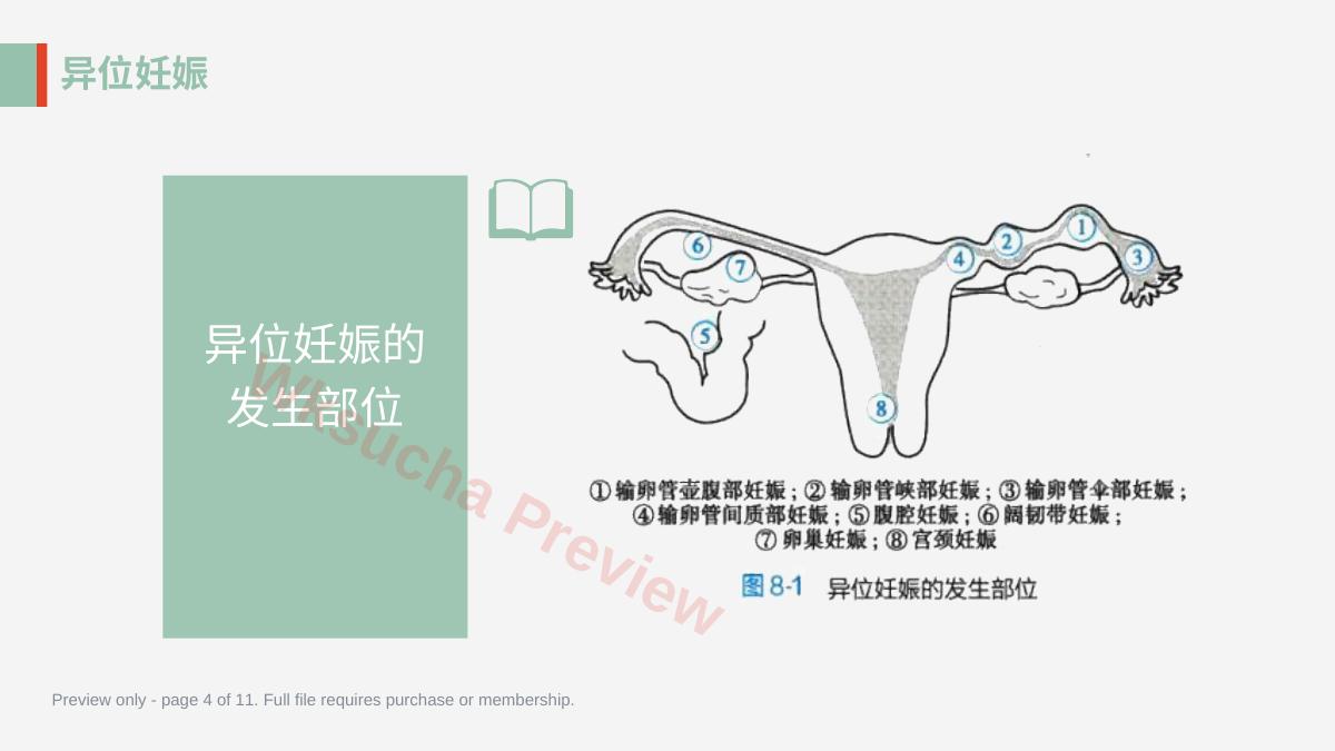 预览第 4 页