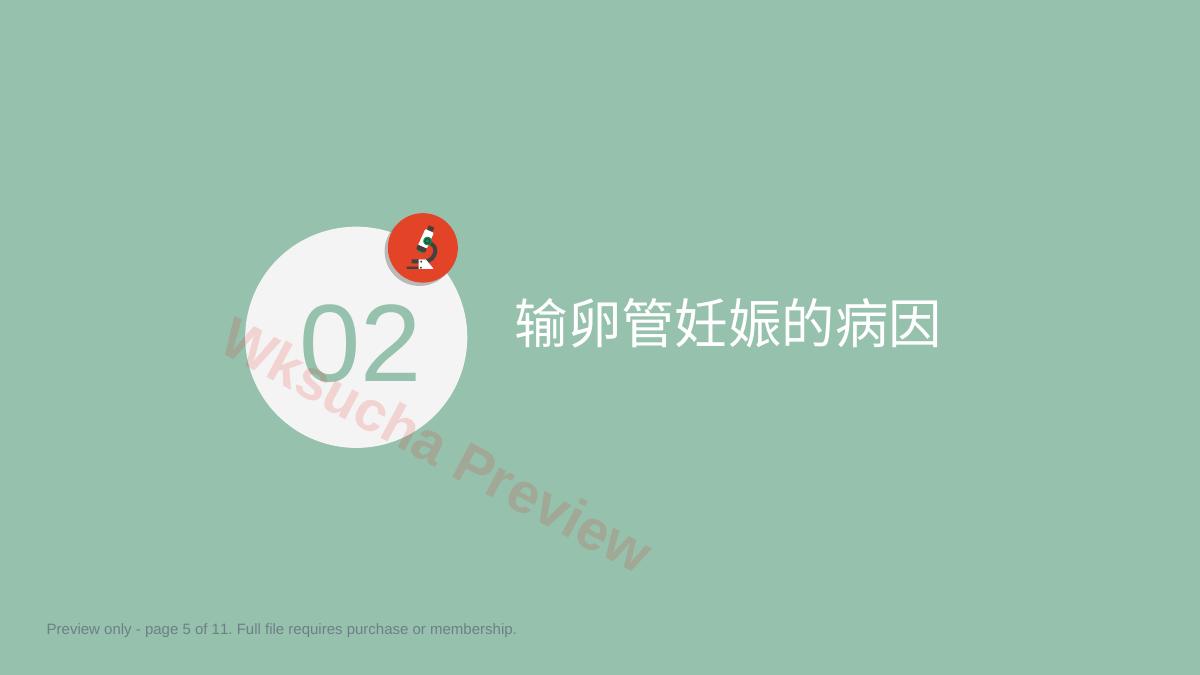 预览第 5 页