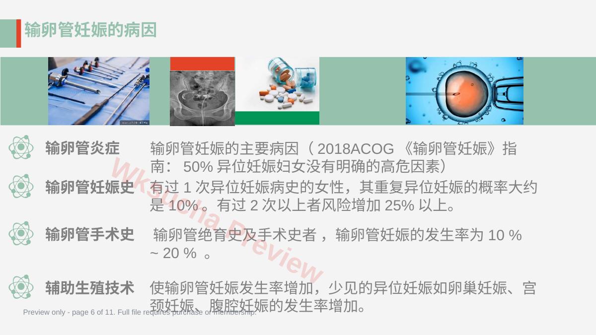 预览第 6 页