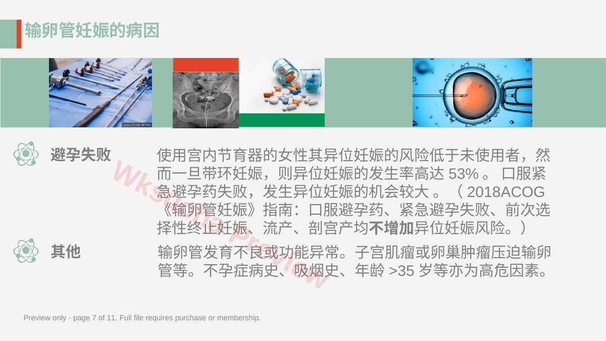 预览第 7 页