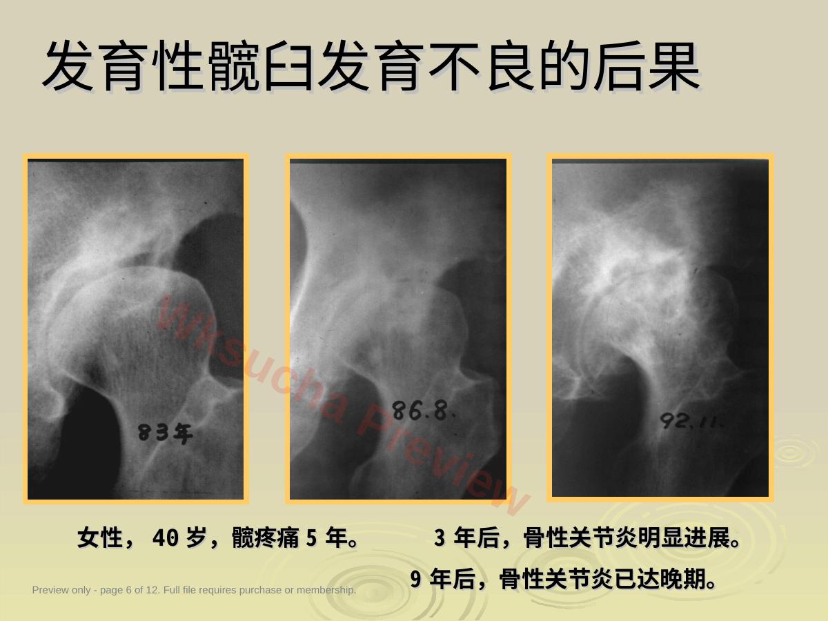 预览第 6 页