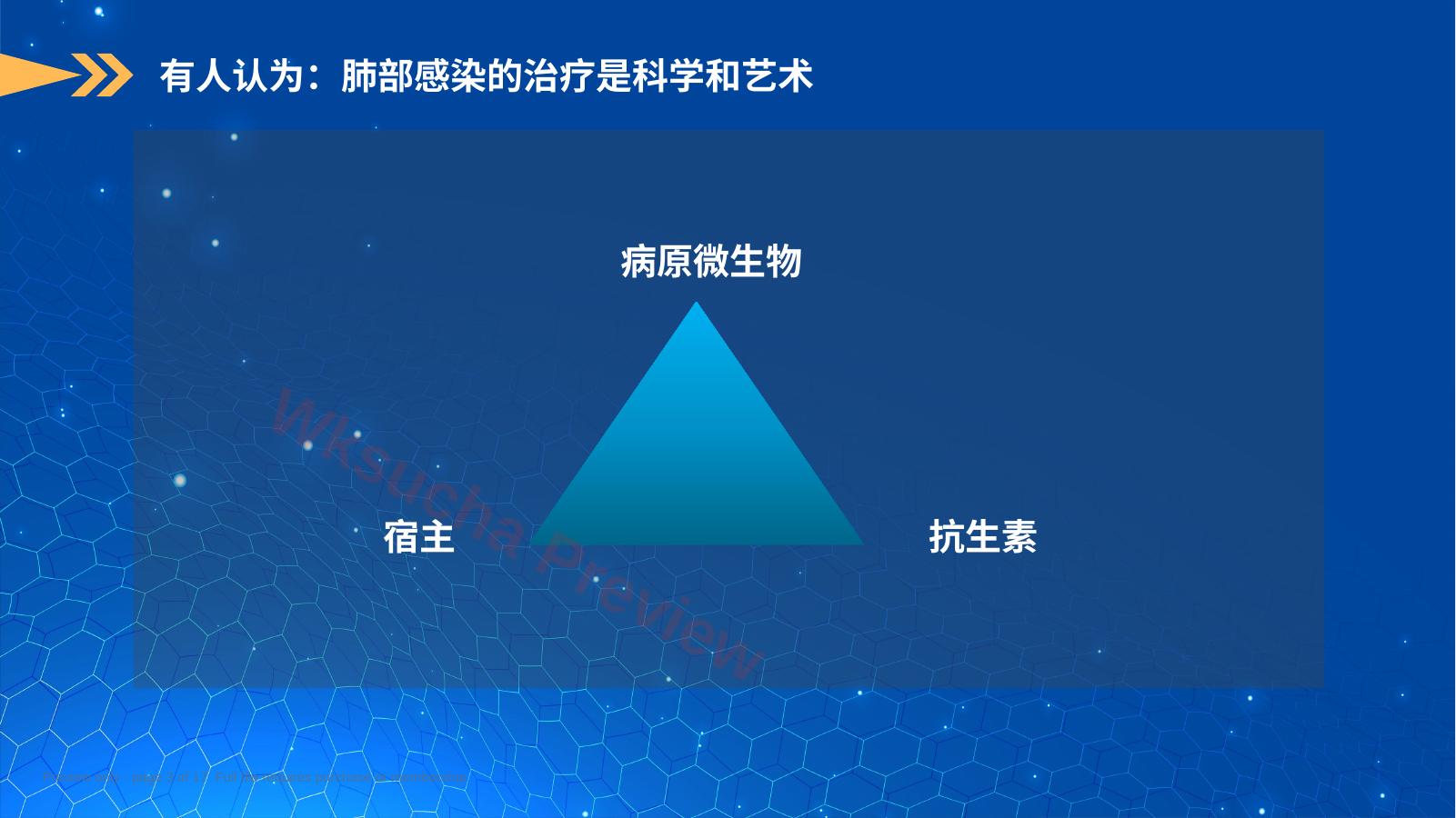预览第 3 页