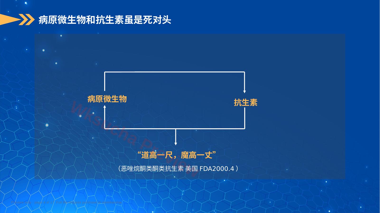 预览第 4 页