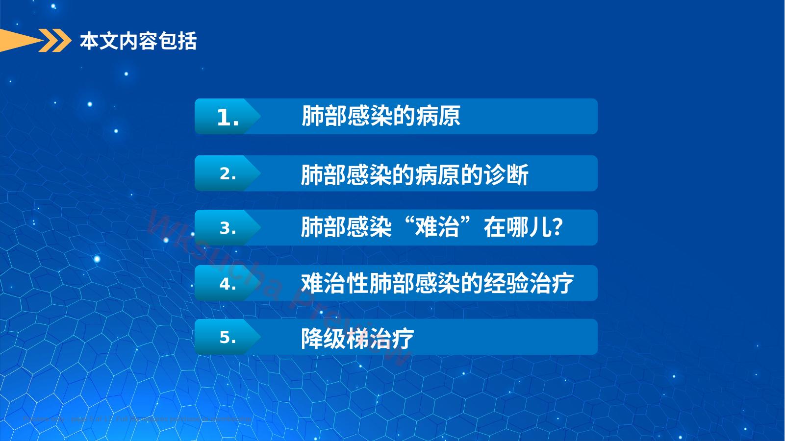 预览第 5 页