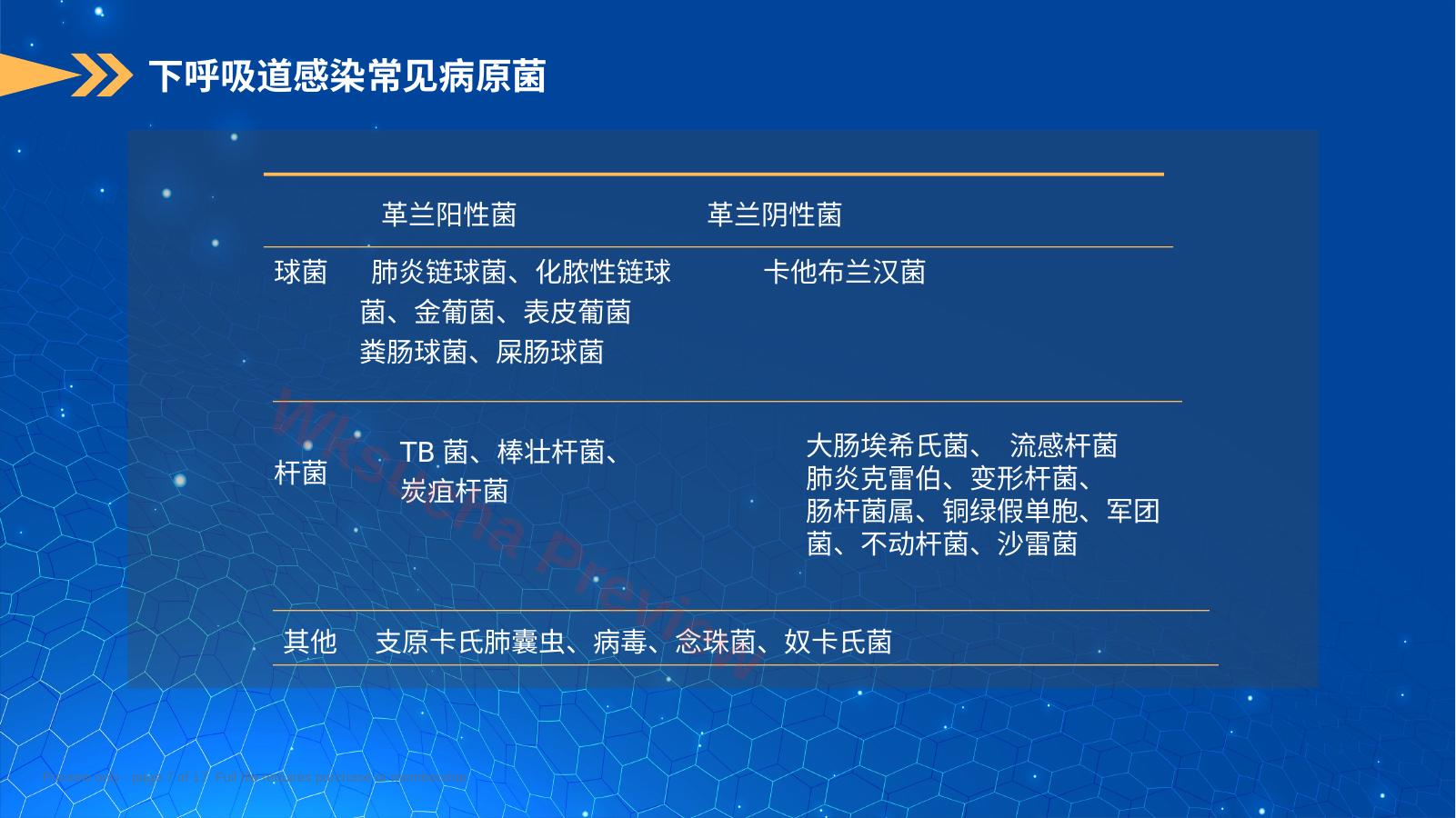 预览第 7 页